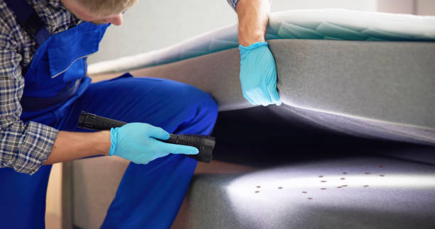 Best Cockroach Control Services  in Francisville, KY